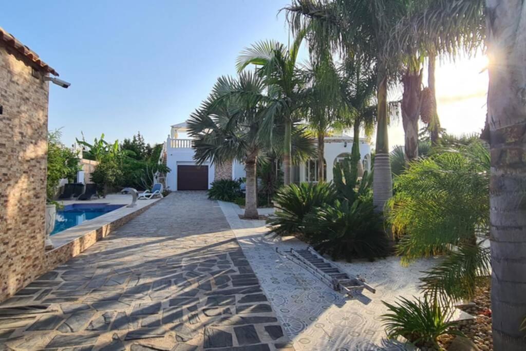 Tropical Paradise Villa In 托雷维耶哈 外观 照片