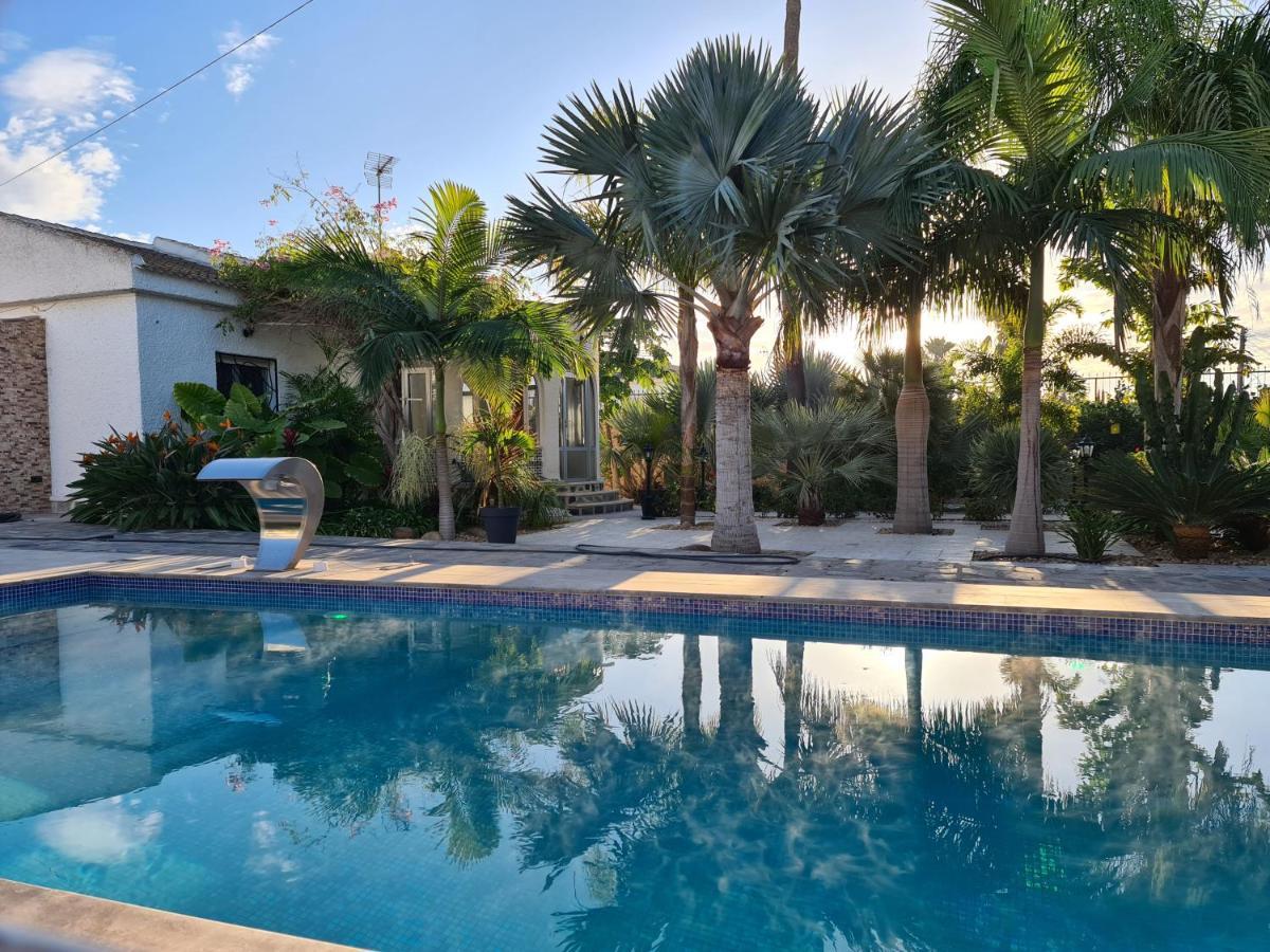 Tropical Paradise Villa In 托雷维耶哈 外观 照片